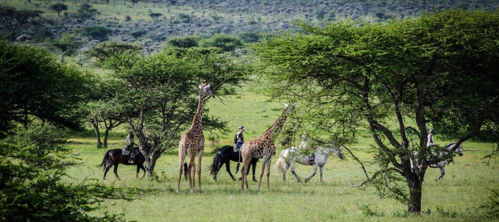 Ol Donyo Lodge, Chyulu Hills, Kenya - Image 15