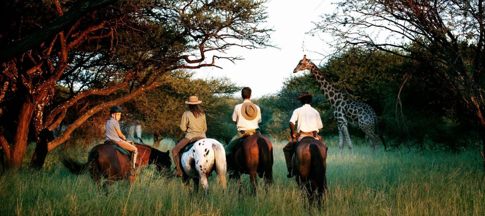 Royal Tree Lodge, Maun, Botswana - Image 4
