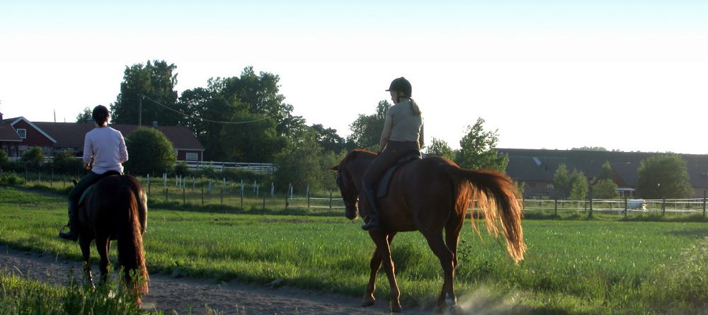 Horse riding at Franschhoek Country House, Franschhoek, South Africa - Image 4