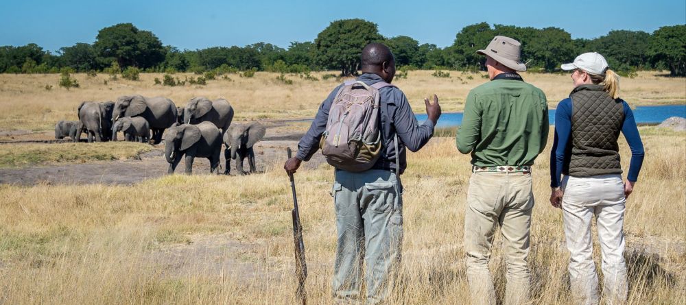 Little Makalolo, Hwange National Park, Zimbabwe - Image 11