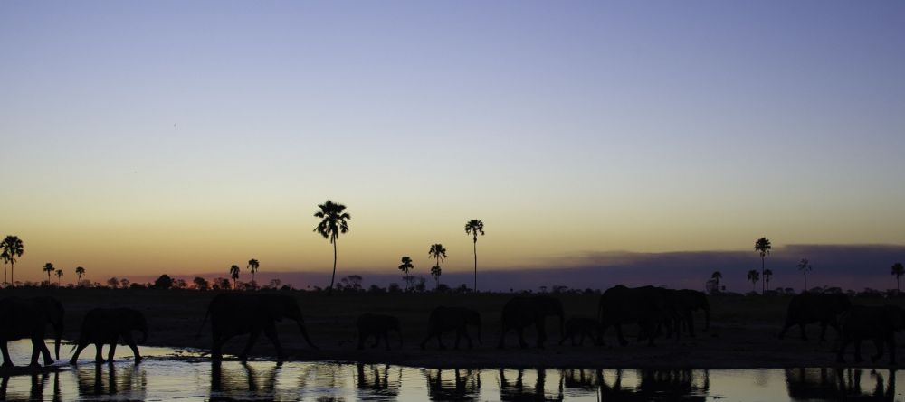Elephants at sunset at Davisons Camp, Huangwe National Park, Zimbabwe (Dana Allen) - Image 13