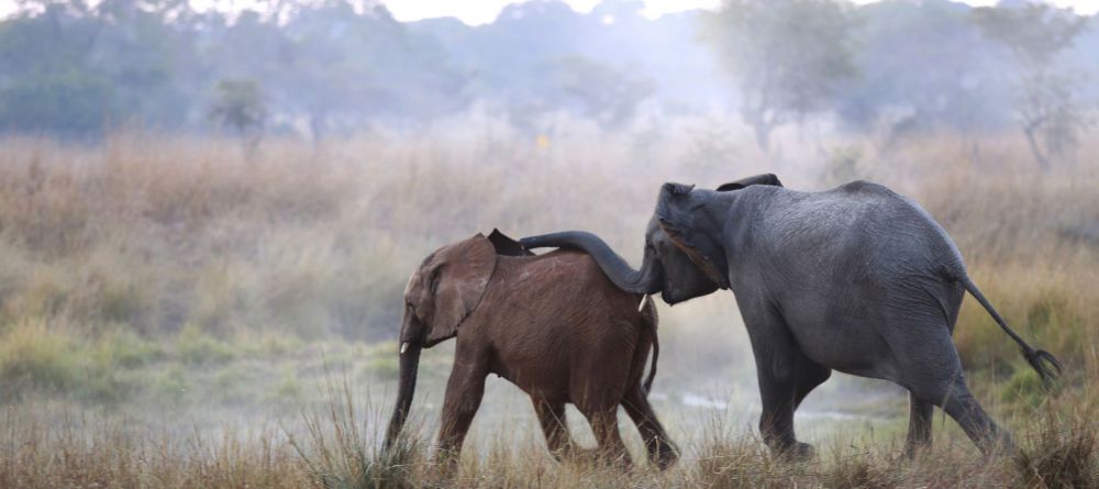 Lilayi Lodge, Lusaka, Zambia - Image 5
