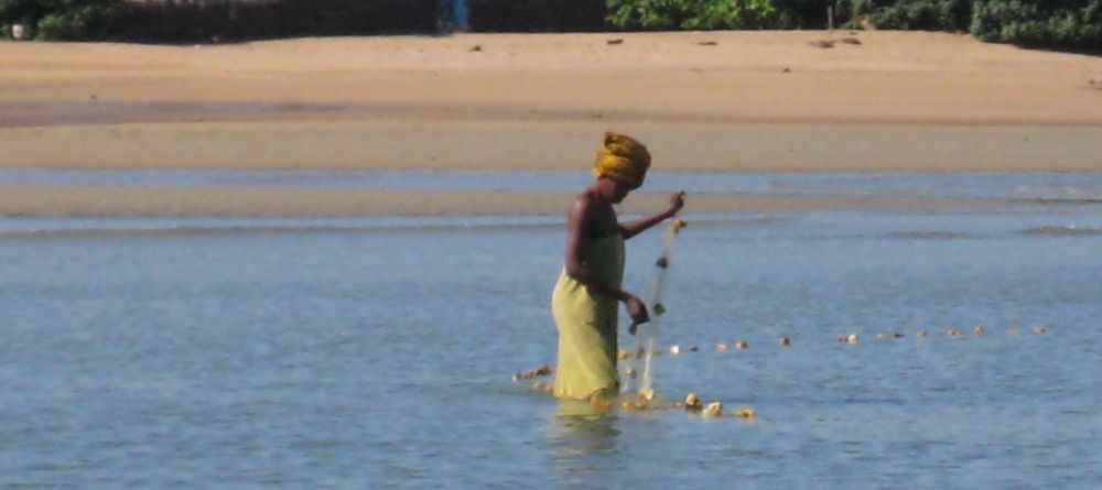 A local woman setting her fishing nets at Sakatia Lodge, Nosy Be, Madagascar (Mango Staff photo) - Image 26