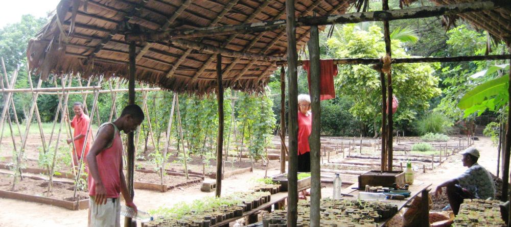 The produce garden used by the chefs at Sakatia Lodge, Nosy Be, Madagascar (Mango Staff photo) - Image 12
