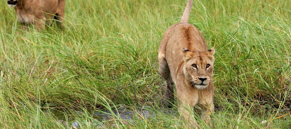 Zungulila Bushcamp, South Luangwa National Park, Zambia - Image 19