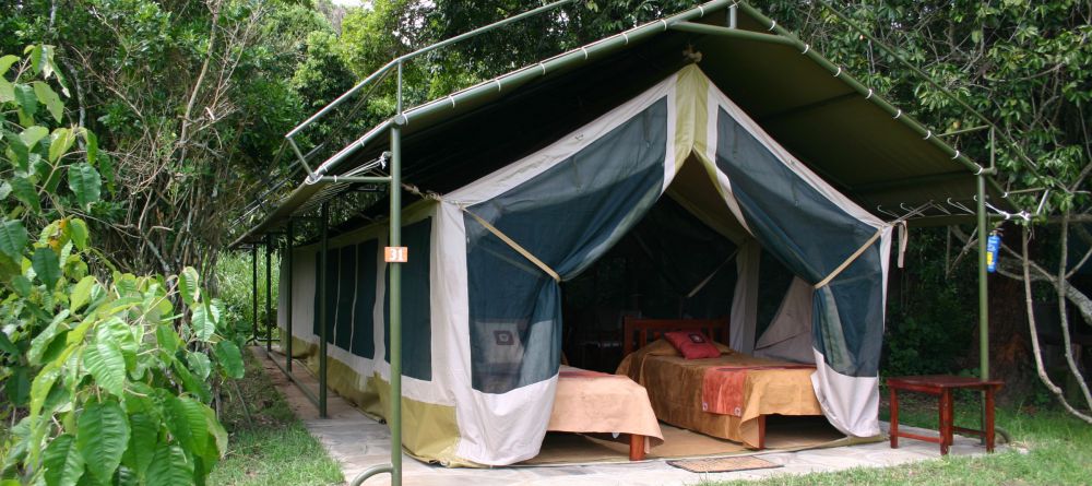 Family Tent - Image 10