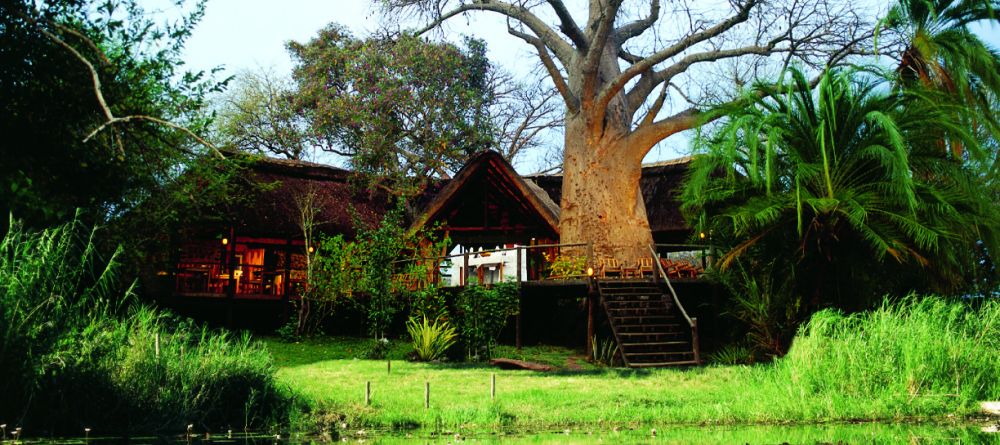 Main complex at Impalila Island Lodge, Caprivi Strip, Namibia - Image 4