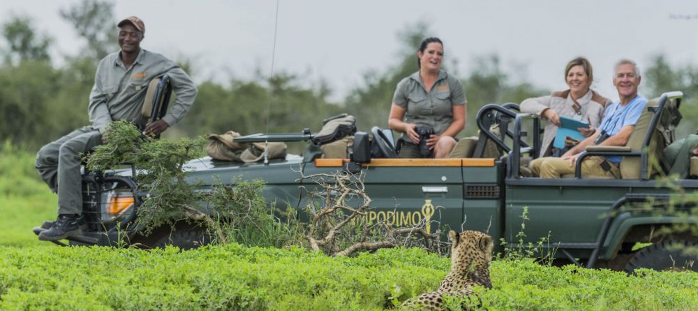 Impodimo Game Lodge - Image 5