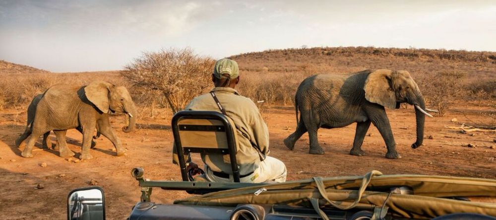 Impodimo Game Lodge - Image 6