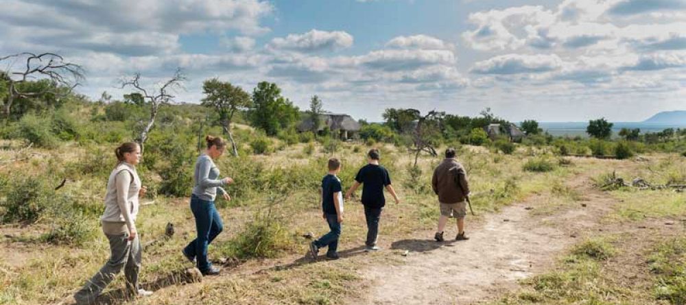 Impodimo Game Lodge - Image 7