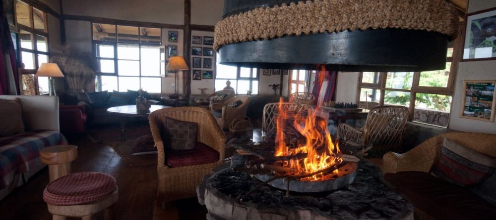 Indoor forest in lounge at Virunga Lodge, Volcanoes National Park, Uganda - Image 25