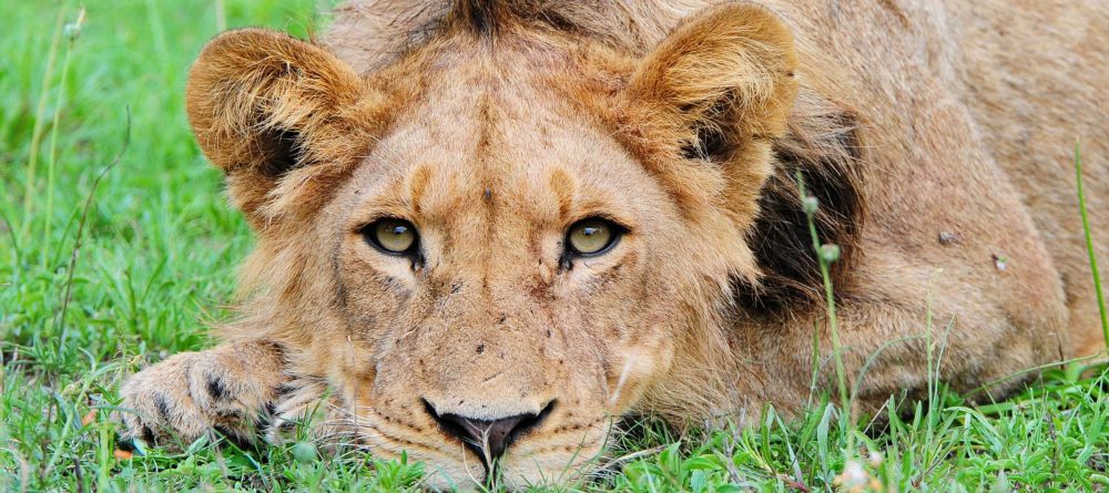 Jock Safari Lodge, Kruger National Park, South Africa - Image 2