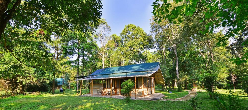 Ishasha Wilderness Camp, Queen Elizabeth National Park, Uganda - Image 4