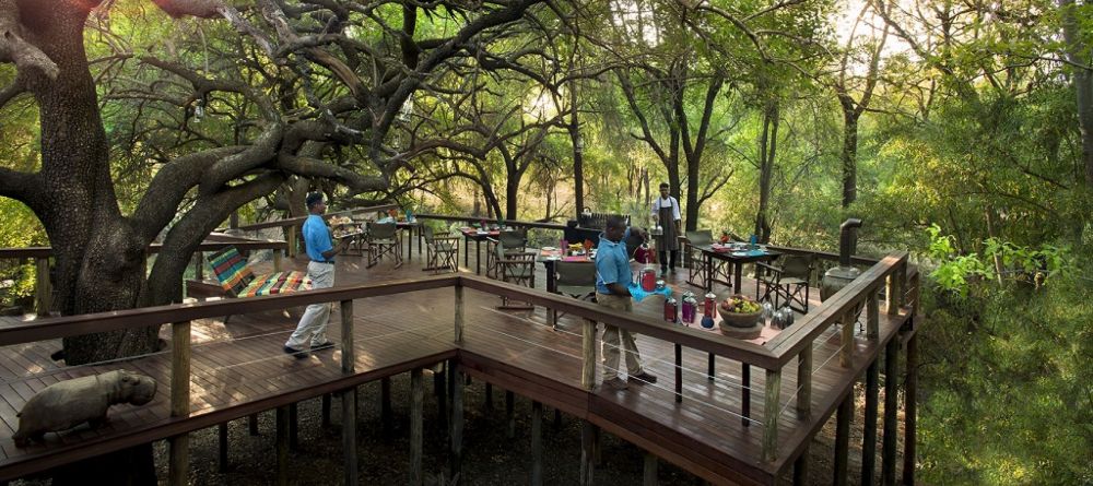Jaci's Safari Lodge - main lodge - Image 2