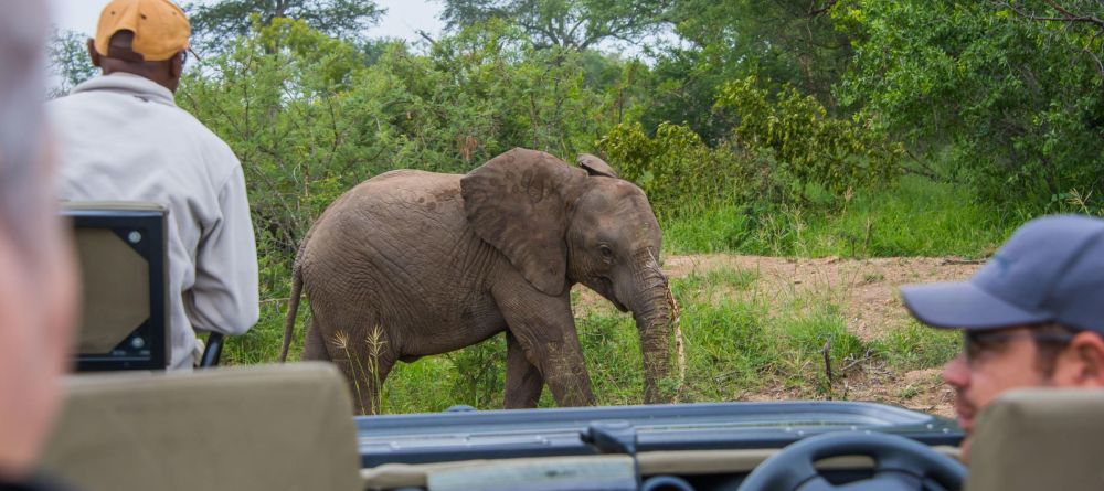 Thornybush Jackalberry Lodge - Image 9