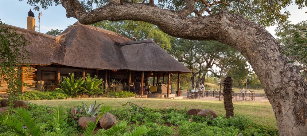 Thornybush Jackalberry Lodge - Image 8