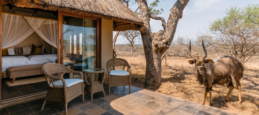 Thornybush Jackalberry Lodge - Image 4