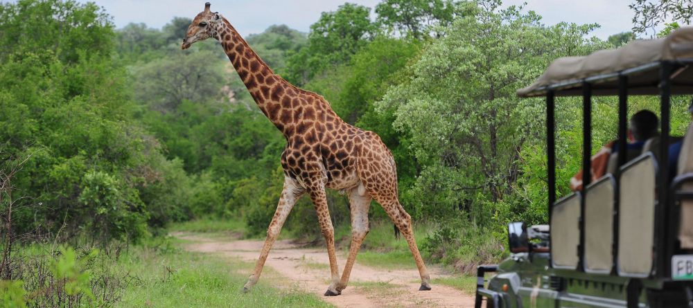 Jock Safari Lodge, Kruger National Park, South Africa - Image 6