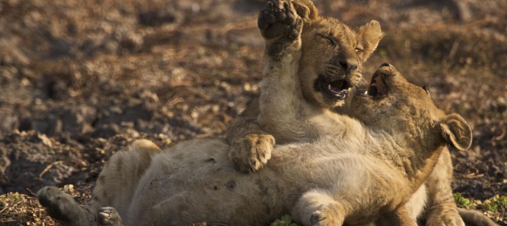 Zungulila Bushcamp, South Luangwa National Park, Zambia - Image 1