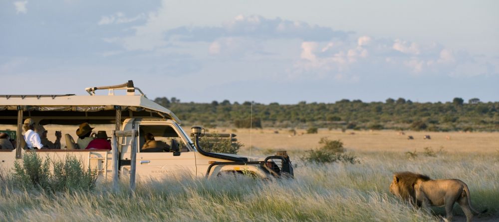 Kalahari Plains Camp, Central Kalahari Game Reserve, Bostwana - Image 7