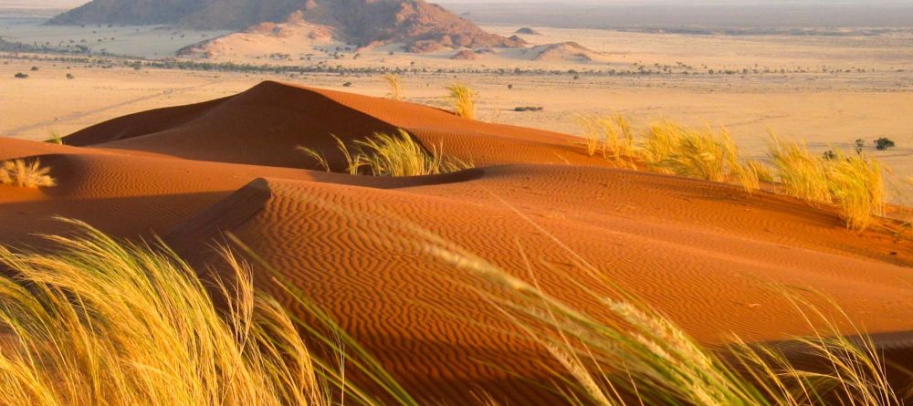 Kalahari Desert - Image 4
