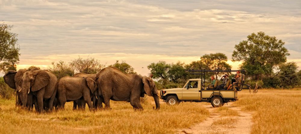 Game drive at Kanga Camp, Mana Pools National Park, Zimbabwe - Image 3