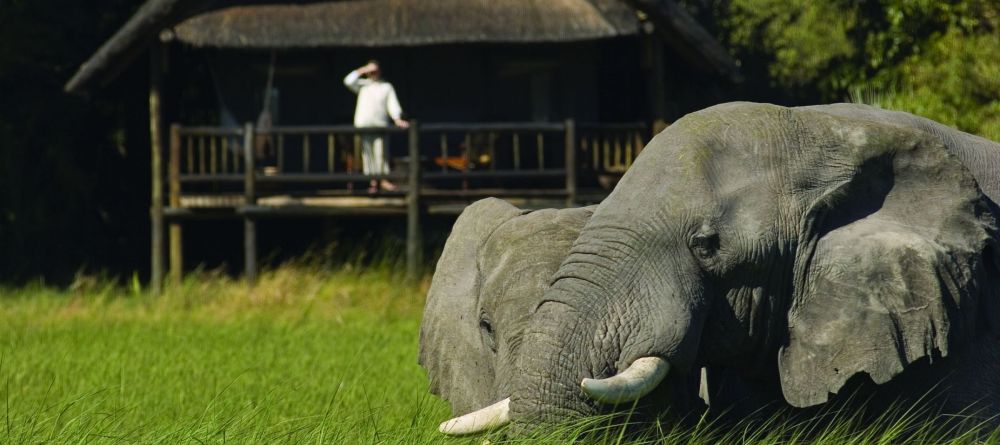 Khwai River Lodge, Moremi Game Reserve, Botswana - Image 1