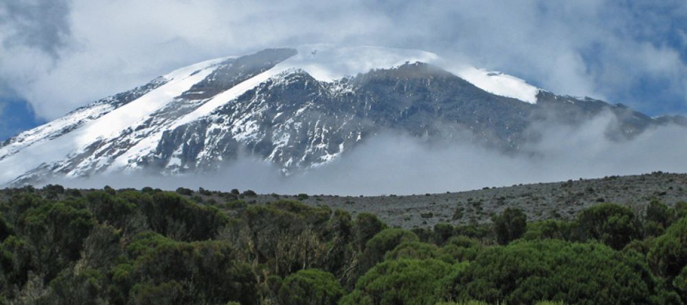 Mt. Kilimanjaro Western Approach - Image 13