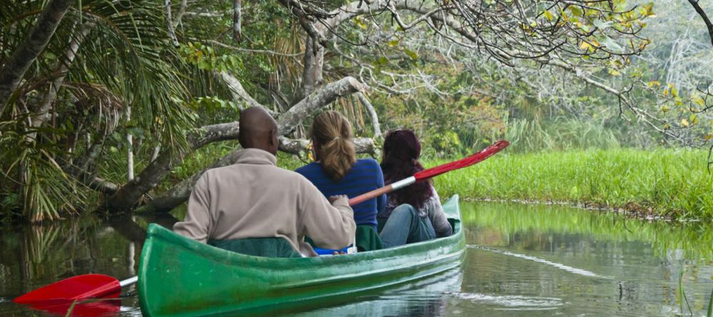 Kosi Forest Lodge - Image 2