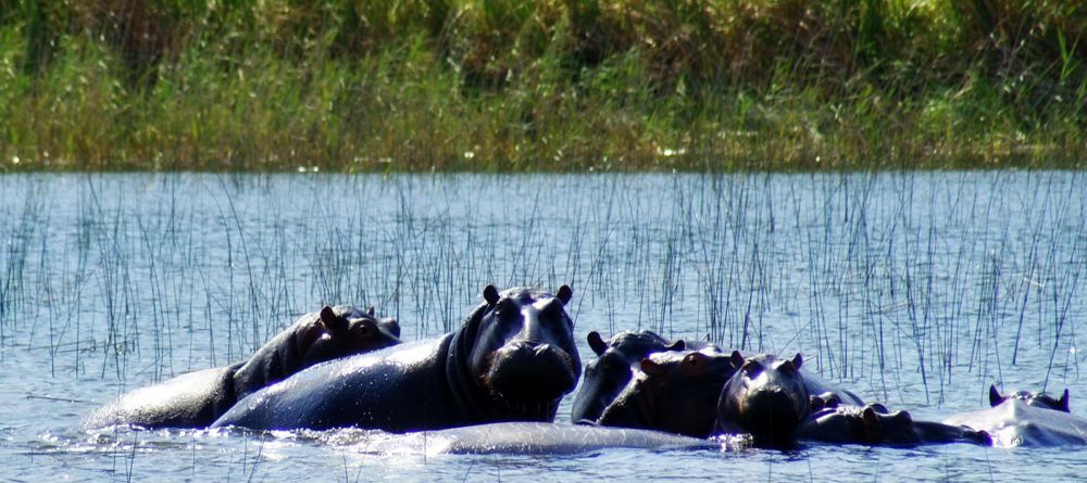 Kosi Forest Lodge - Image 4