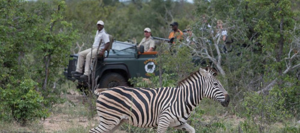 Kambaku Safari Lodge - Image 2