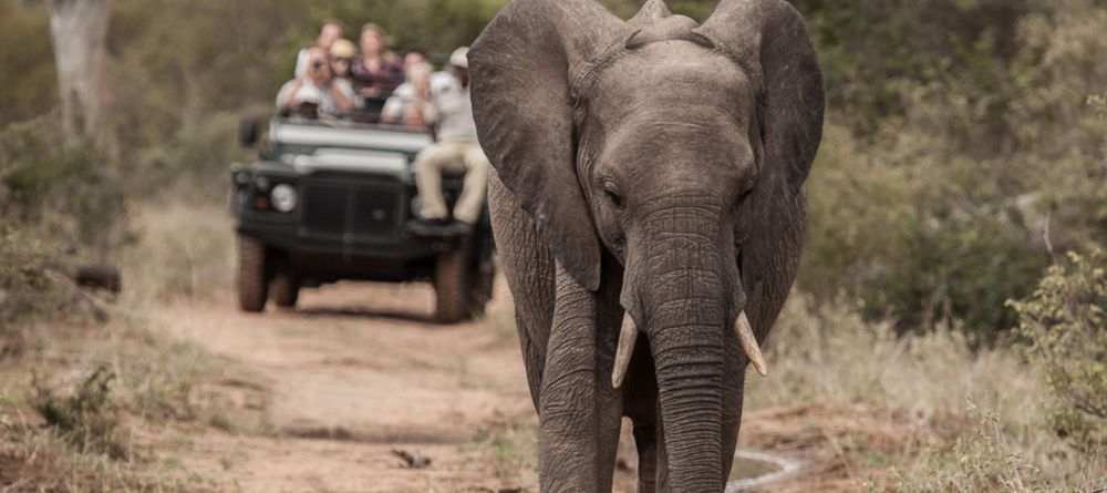 Kambaku Safari Lodge - Image 4