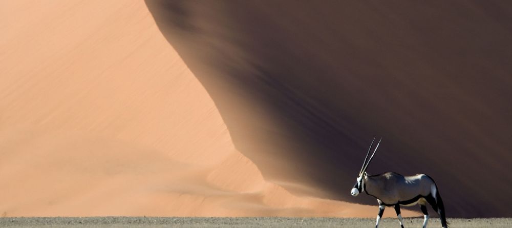 Desert - Image 11
