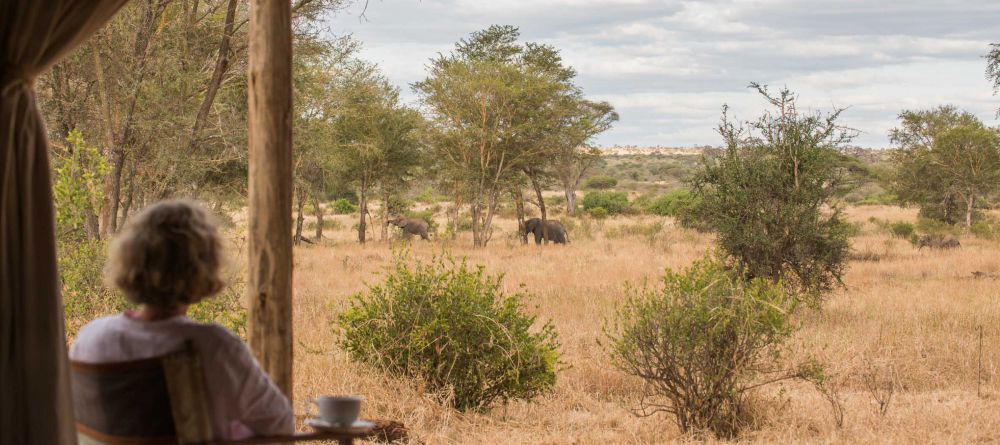 Kuro Tarangire - take in the scenery from your verandah - Image 16