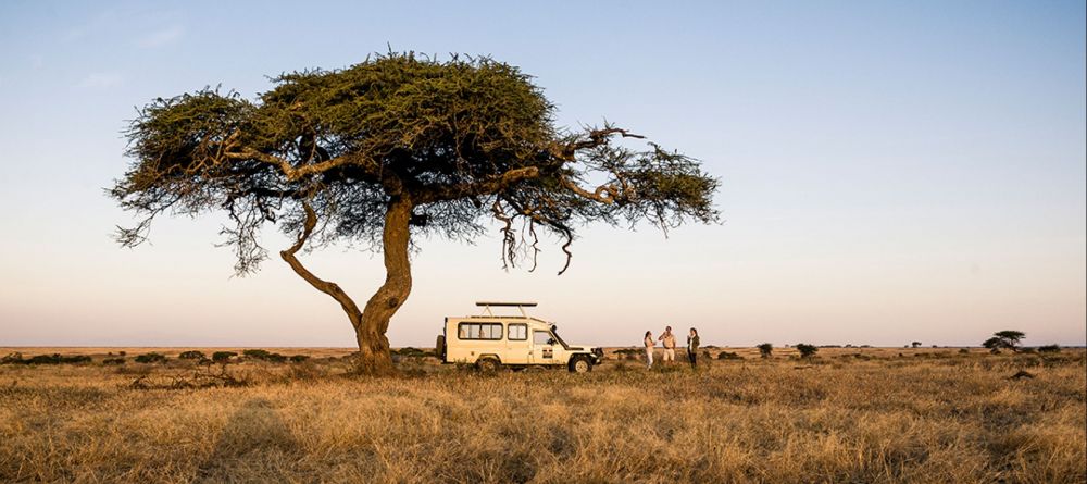 Kusini Camp  Drives - Image 3