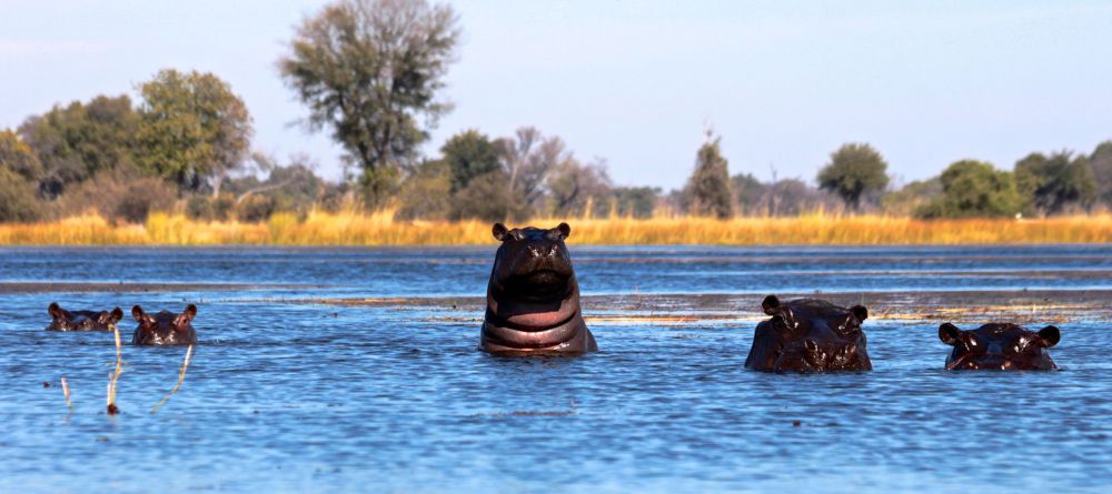 Kwara Camp, Okavango Delta, Botswana - Image 11