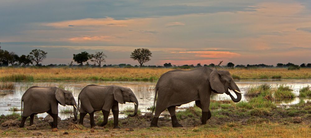 Lagoon Camp, Linyati Wetlands, Botswana - Image 3