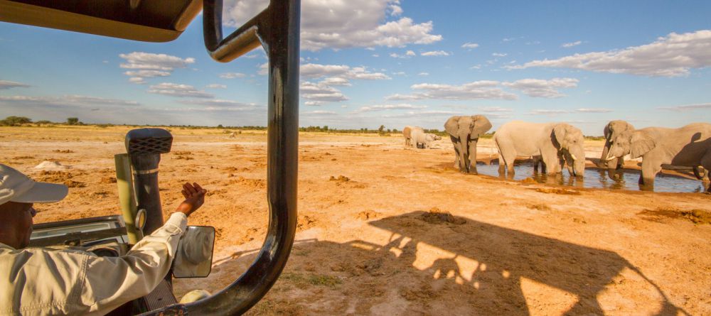 Elephants at Nxai Pan Camp, Nxai Pan National Park, Botswana - Image 5