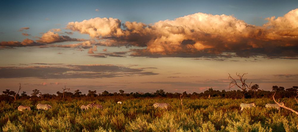 Nxai Pan Camp, Nxai Pan National Park, Botswana - Image 14