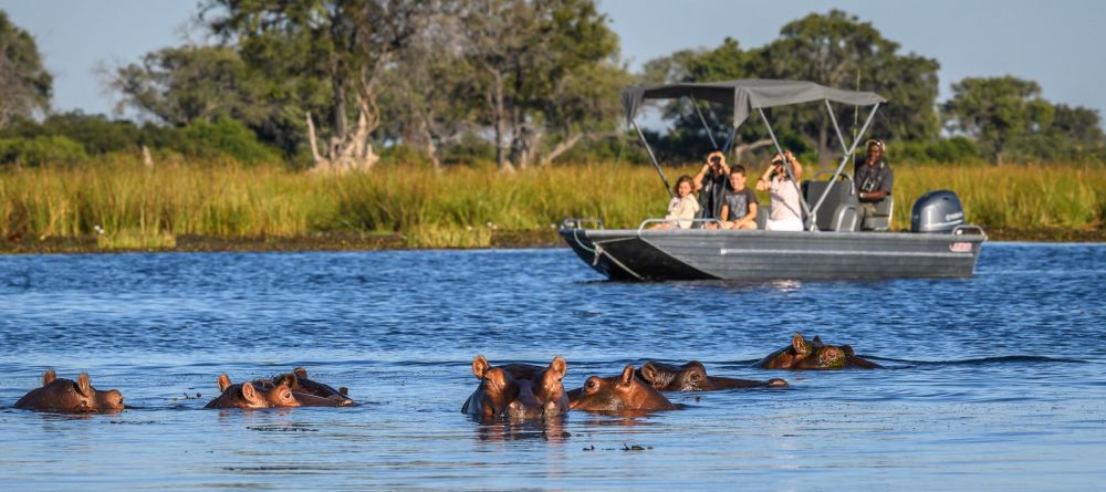 Boating with hippos - Image 5