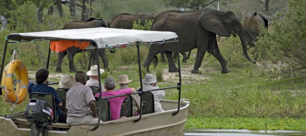 Spotting a herd of elephants while on a boat safari at Lake Manze Tented Camp, Selous National Park, Tanzania - Image 1