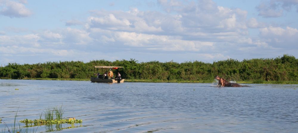 A hippo gets defensive of its territory when a boat safari comes too near at Lake Manze Tented Camp, Selous National Park, Tanzania - Image 2