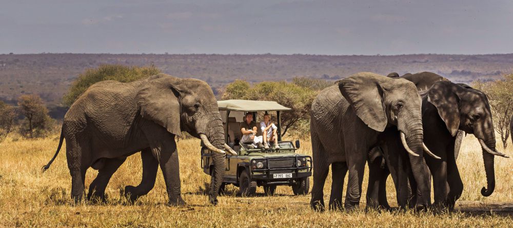 Little Chem Chem Game Drive - Image 7