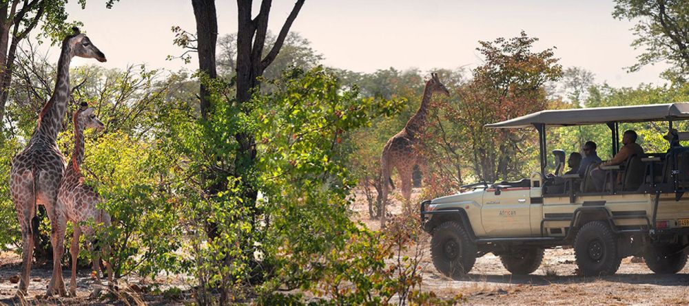 Linyati Explorer Camp safari - Image 12