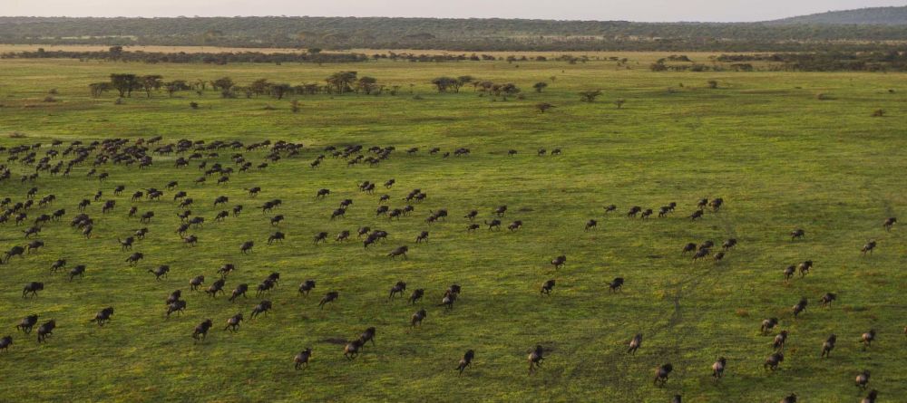 Mwiba Lodge, Serengeti National Park, Tanzania - Image 15