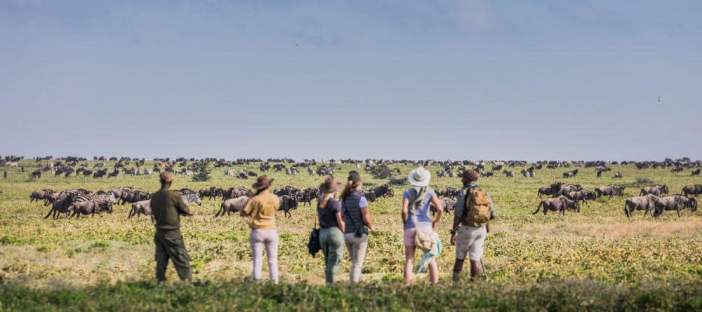 Mwiba Lodge, Serengeti National Park, Tanzania - Image 27