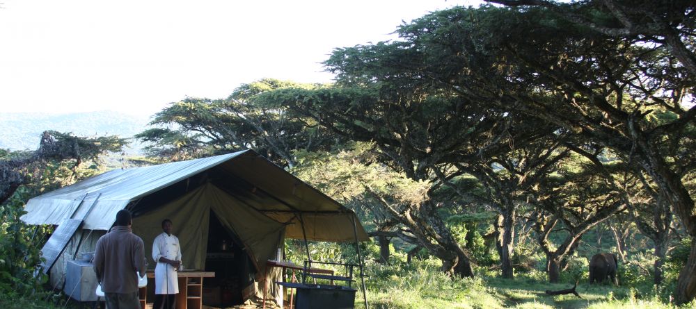 Lemala Ngorongoro, Ngorongoro Crater, Tanzania - Image 3
