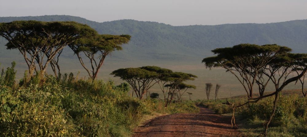 Lemala Ngorongoro, Ngorongoro Crater, Tanzania - Image 5