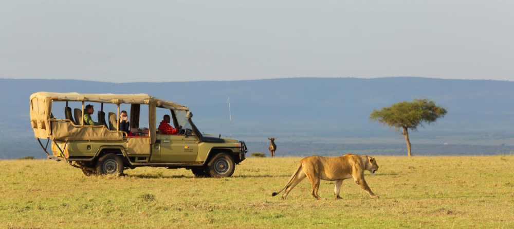 Leopard Hill - Image 3
