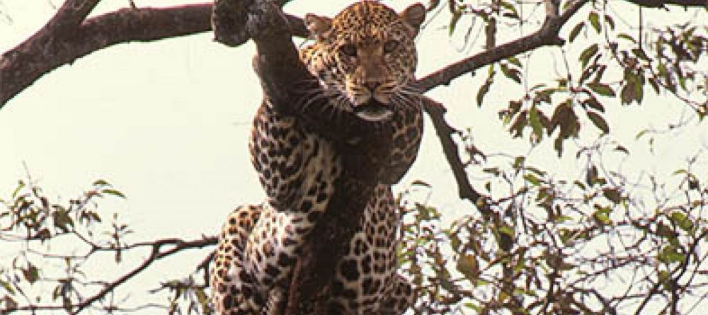 Kitich Camp, Mathews Range, Kenya - Image 9
